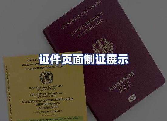 证件页面制证展示