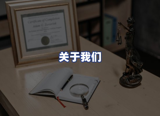 专业团队